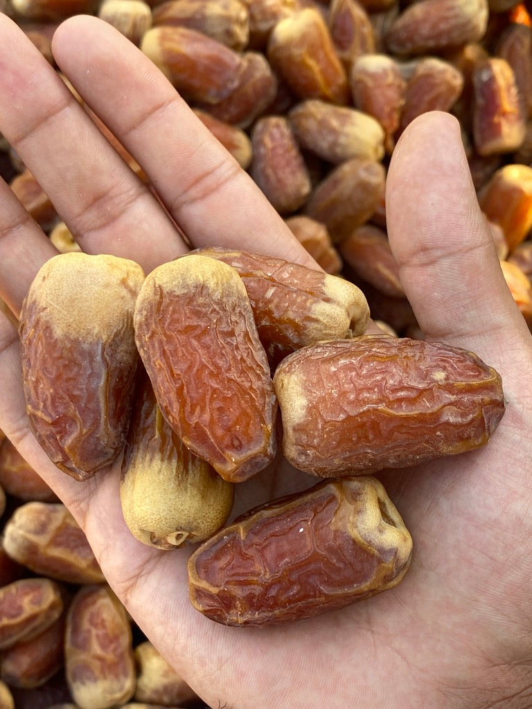 Sugai – Firm Texture, Mild Sweetness