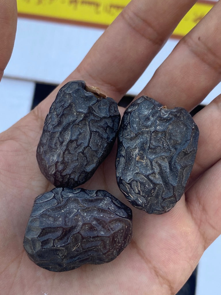 Ajwa – The Iconic Date of Madinah
